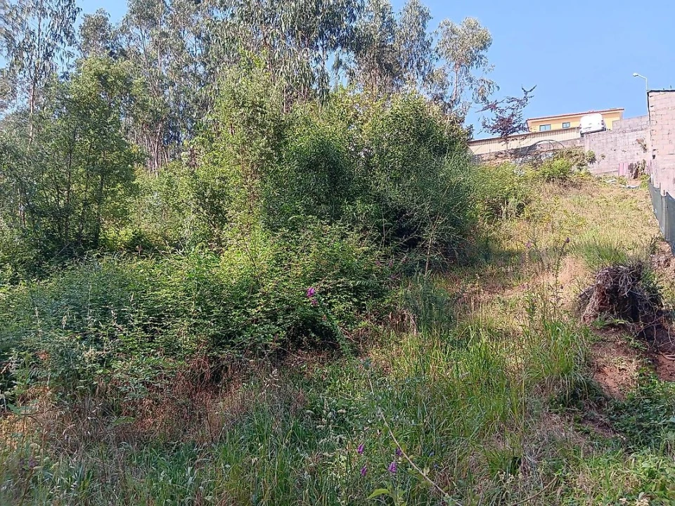 Terreno para Venda em Vila de Cucujães Foto 5
