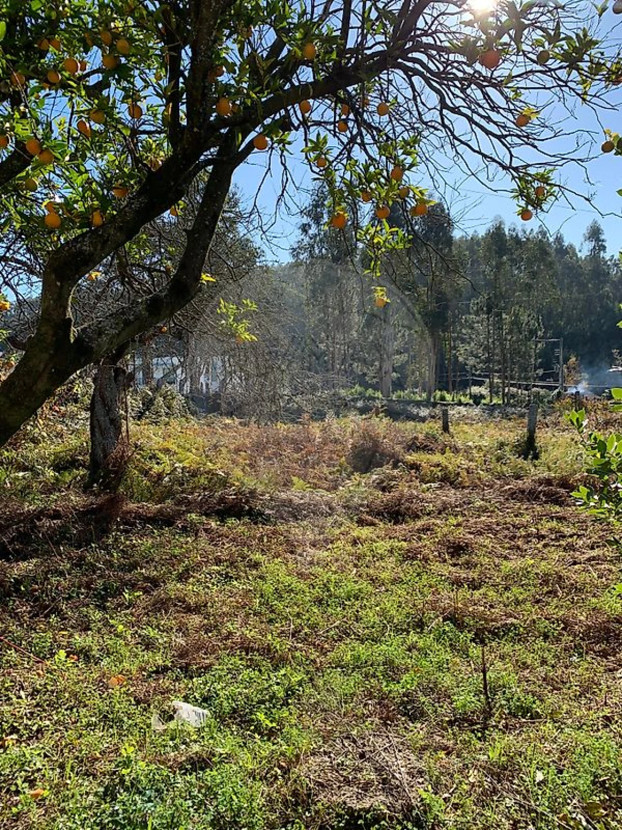 Moradia T2 para Venda em Arrifana Foto 23