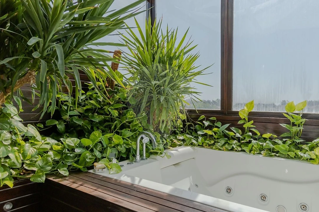 Moradia T4 para Venda em São Miguel do Souto e Mosteirô Foto 35