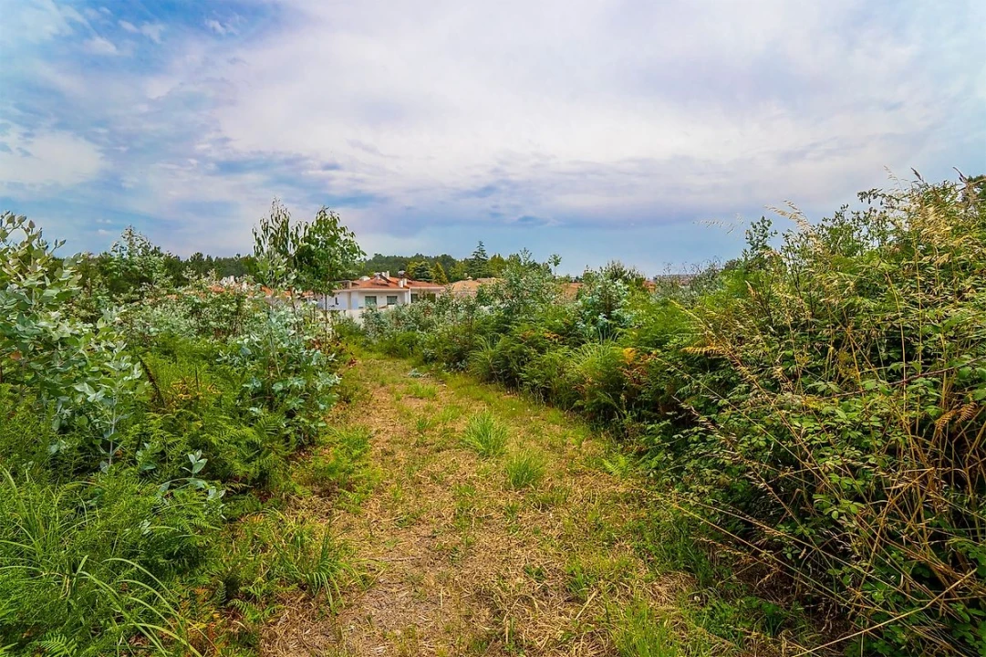 Terreno para Venda em Santa Maria da Feira, Travanca, Sanfins e Espargo Foto 11