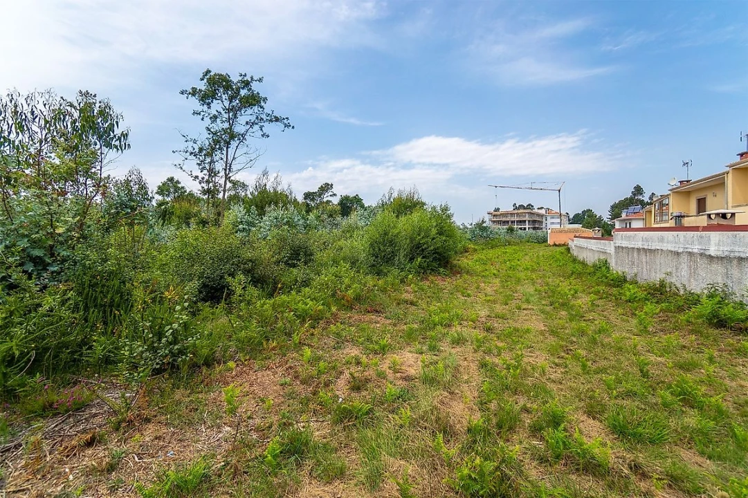 Terreno para Venda em Santa Maria da Feira, Travanca, Sanfins e Espargo Foto 20