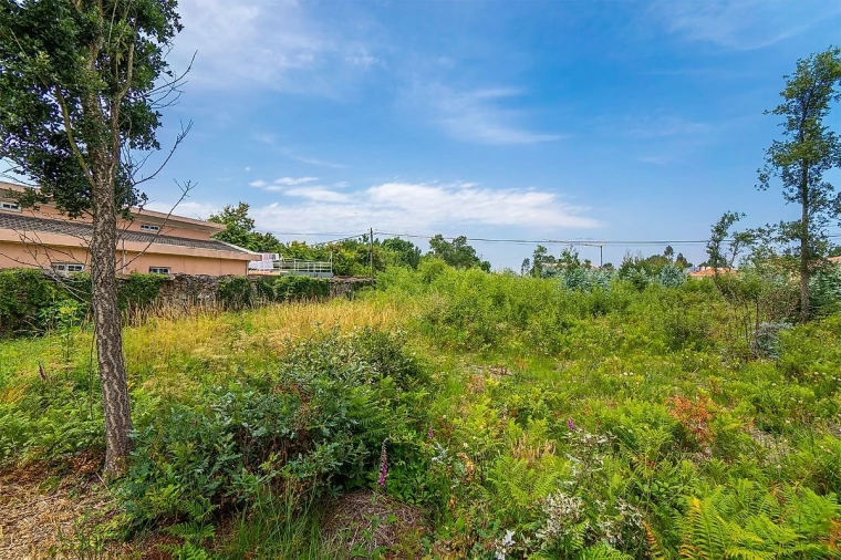 Terreno para Venda em Santa Maria da Feira, Travanca, Sanfins e Espargo Foto 7
