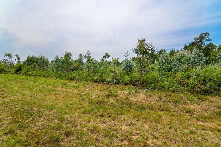 Terreno para Venda em Santa Maria da Feira, Travanca, Sanfins e Espargo Foto 15