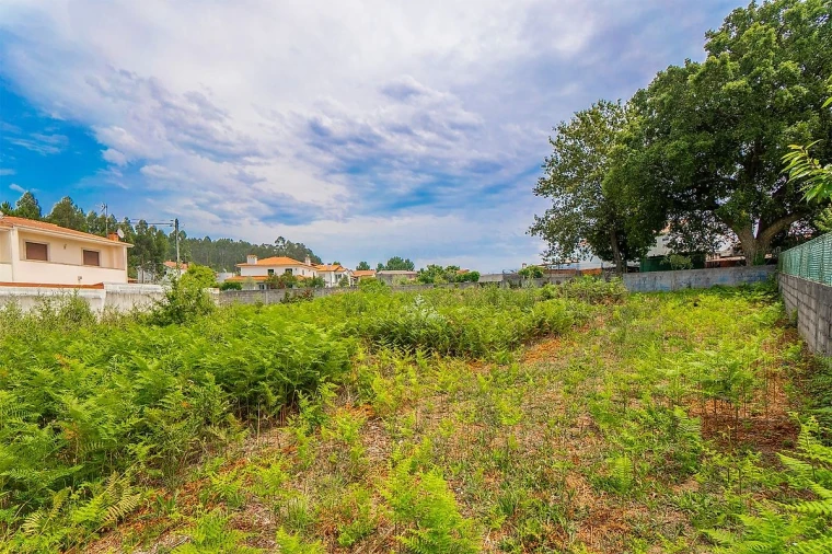 Terreno para Venda em Santa Maria da Feira, Travanca, Sanfins e Espargo Foto 6