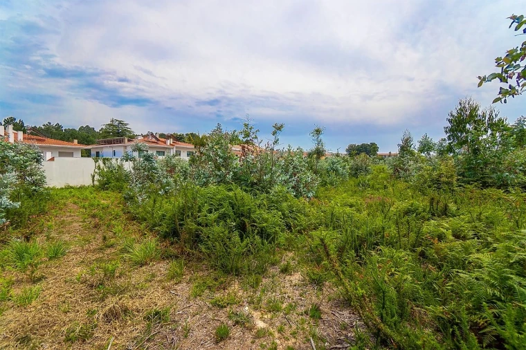 Terreno para Venda em Santa Maria da Feira, Travanca, Sanfins e Espargo Foto 21