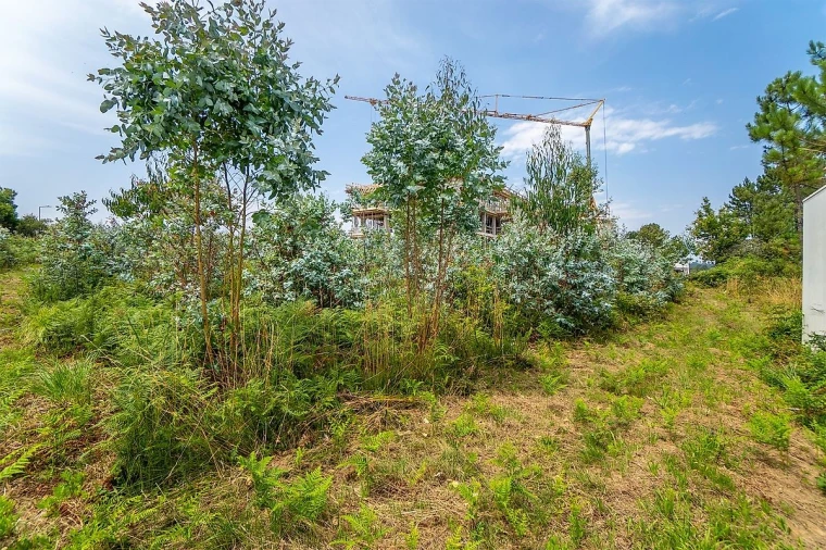 Terreno para Venda em Santa Maria da Feira, Travanca, Sanfins e Espargo Foto 13