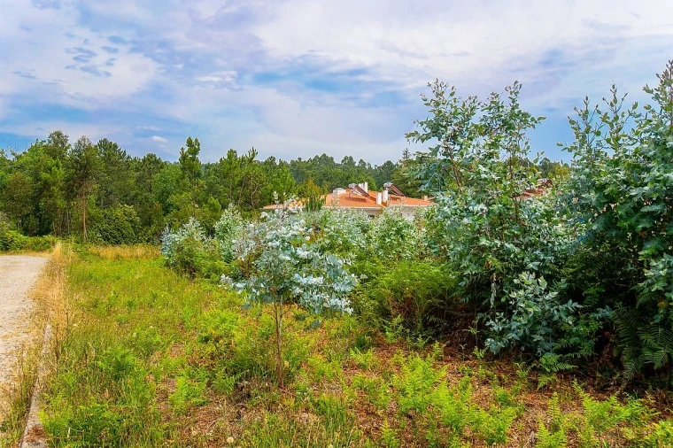 Terreno para Venda em Santa Maria da Feira, Travanca, Sanfins e Espargo Foto 9