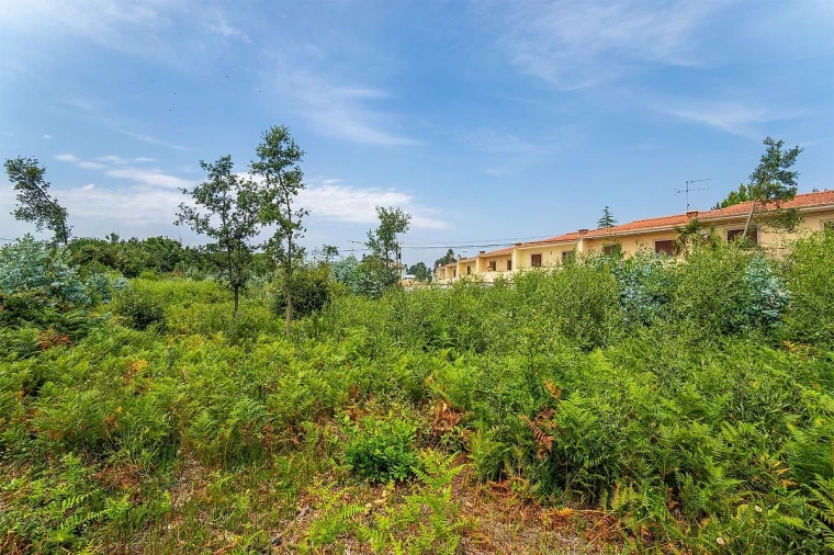 Terreno para Venda em Santa Maria da Feira, Travanca, Sanfins e Espargo Foto 5