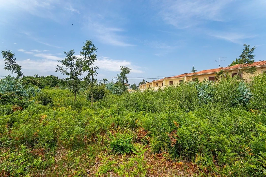 Terreno para Venda em Santa Maria da Feira, Travanca, Sanfins e Espargo Foto 5