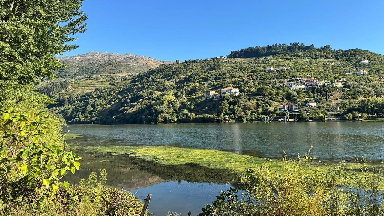 Terreno para Venda em Barqueiros Foto 17