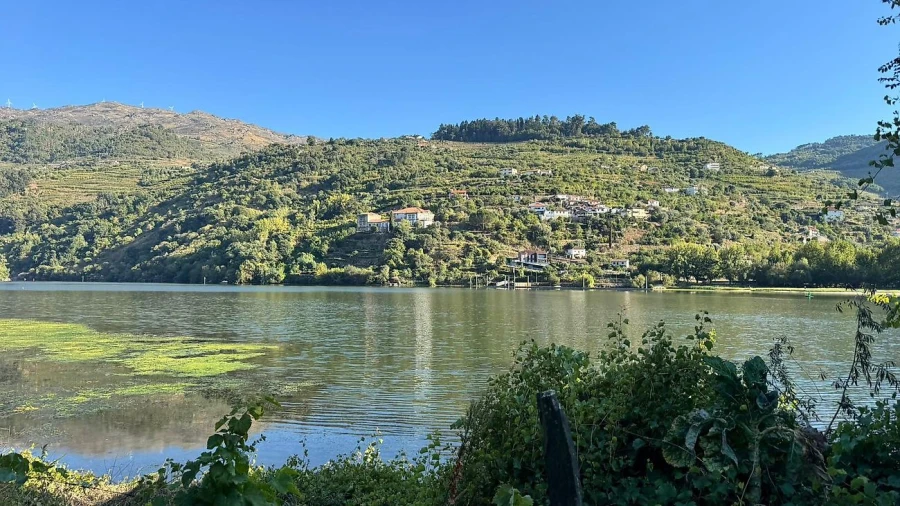 Terreno para Venda em Barqueiros Foto 6