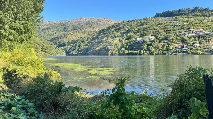 Terreno para Venda em Barqueiros Foto 15