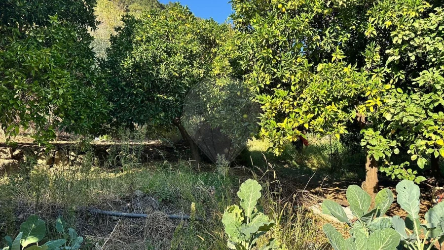 Terreno para Venda em Barqueiros Foto 9