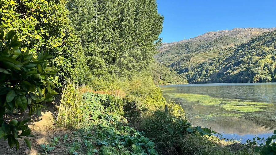 Terreno para Venda em Barqueiros Foto 14
