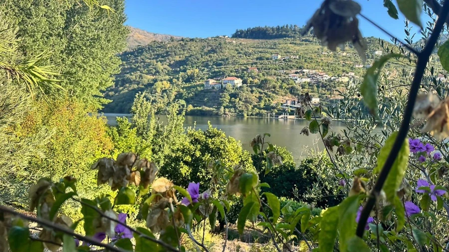 Terreno para Venda em Barqueiros Foto 12