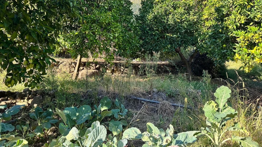 Terreno para Venda em Barqueiros Foto 11