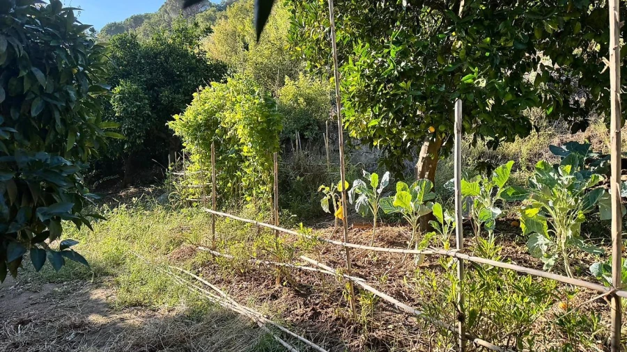 Terreno para Venda em Barqueiros Foto 18