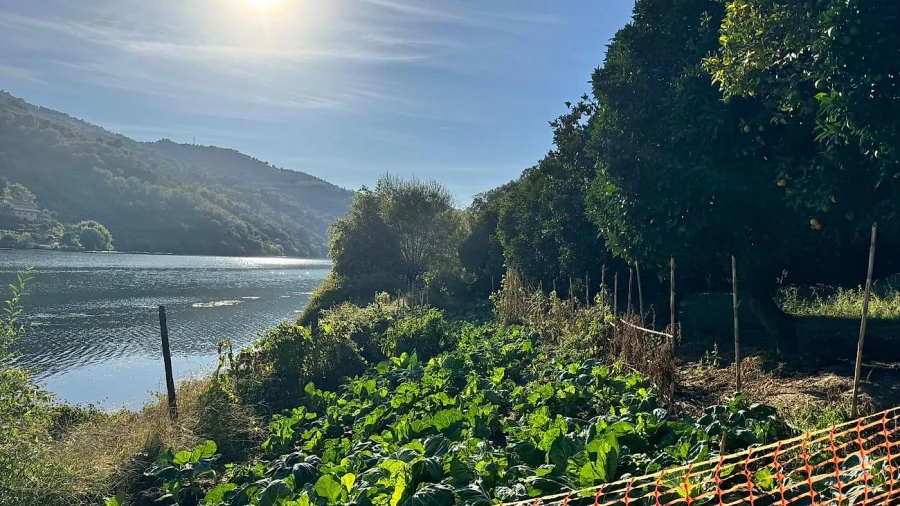 Terreno para Venda em Barqueiros Foto 16