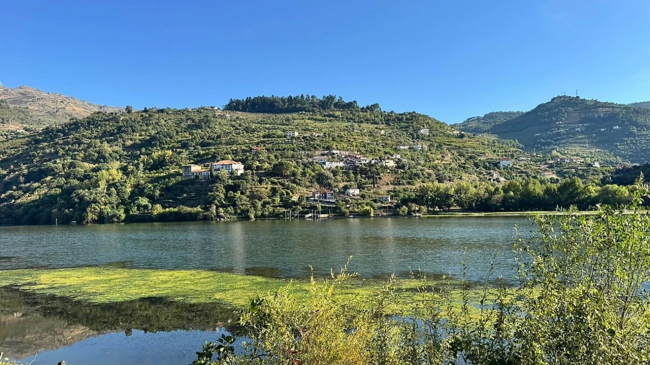Terreno para Venda em Barqueiros Foto 7