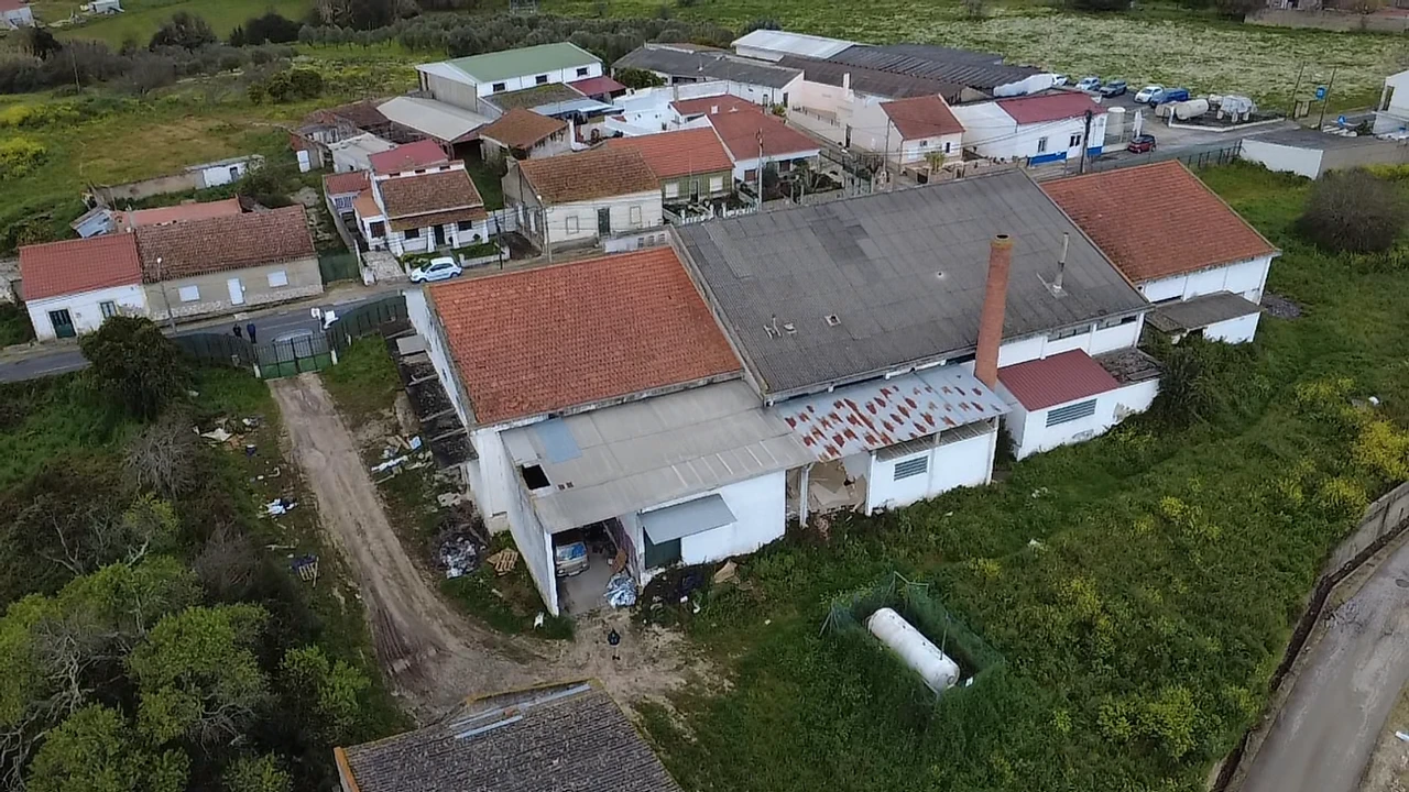 Armazém para Venda em Alcanhões Foto 4