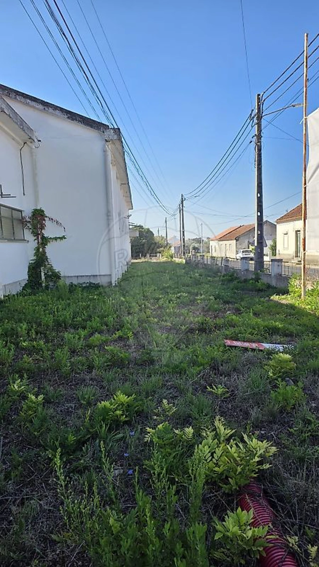 Armazém para Venda em Alcanhões Foto 26