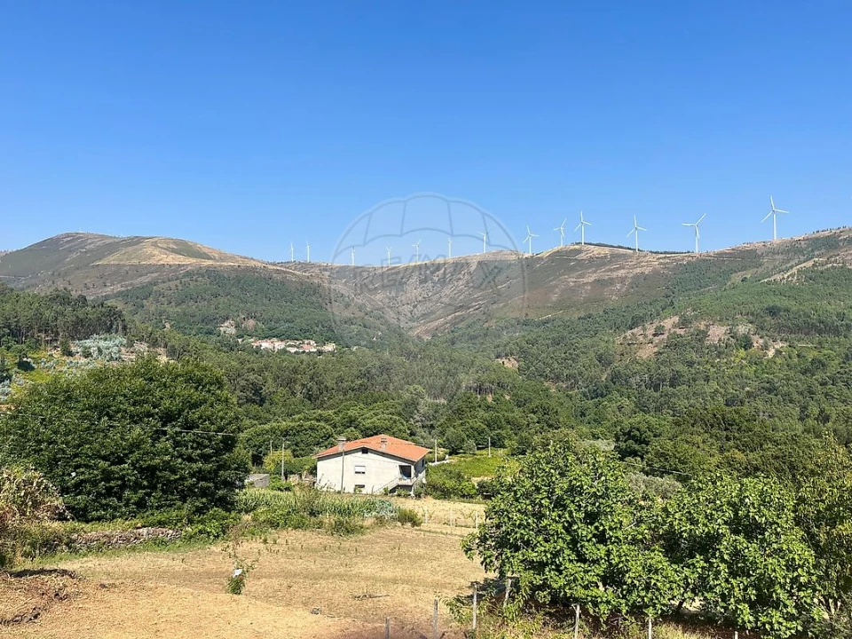 Moradia T3 para Venda em Castanheira de Pêra e Coentral Foto 36