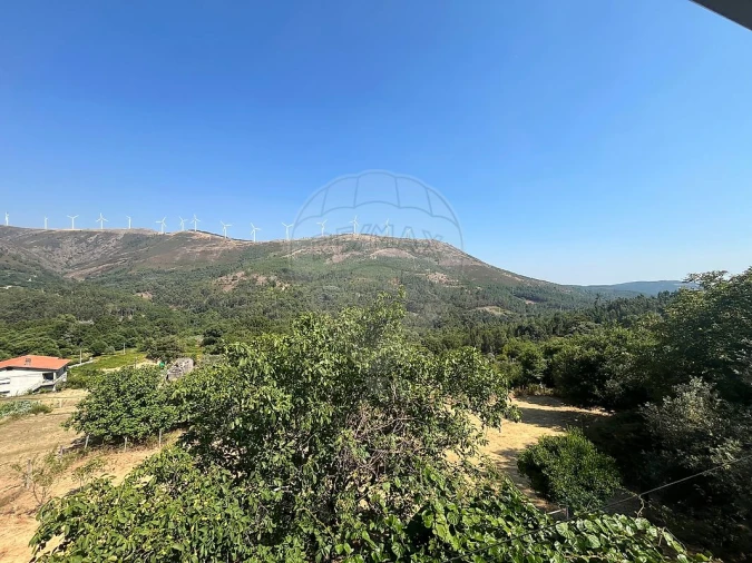 Moradia T3 para Venda em Castanheira de Pêra e Coentral Foto 14