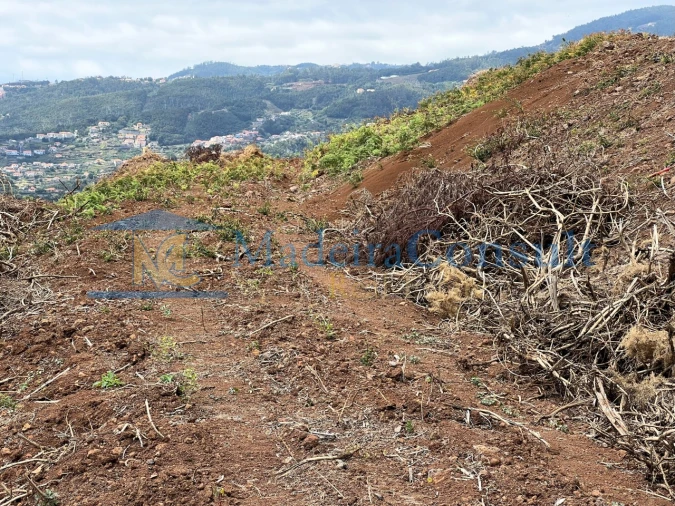 Terreno para Venda em Santa Cruz Foto 15
