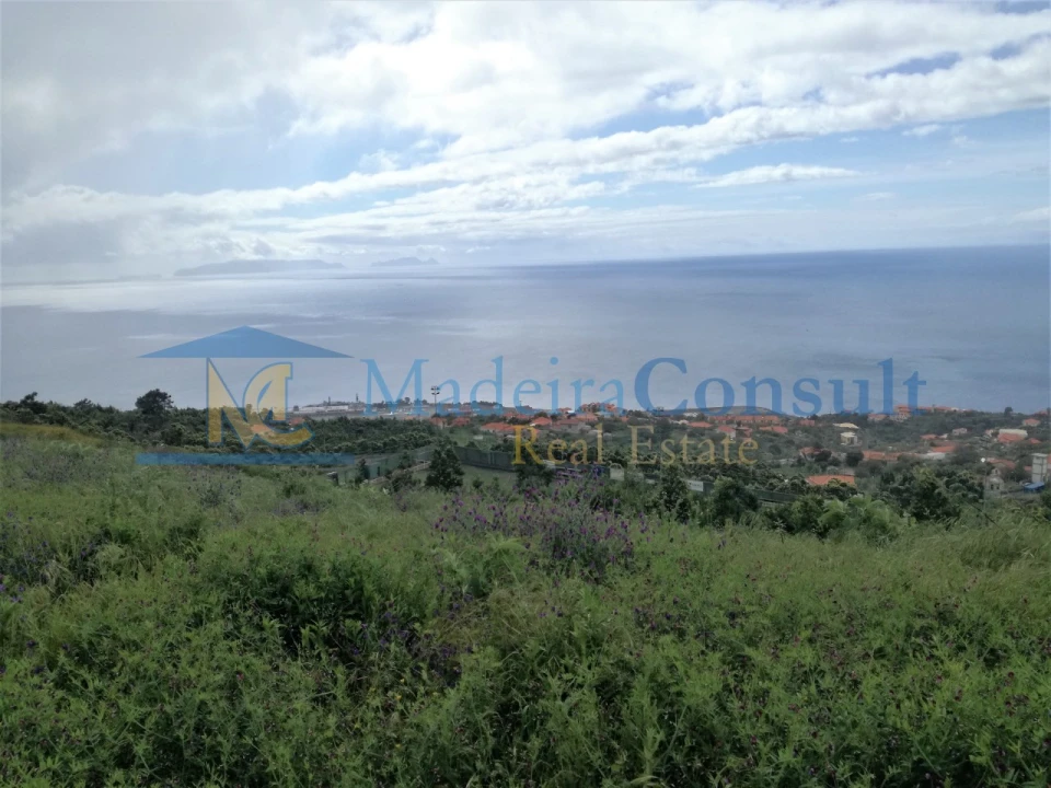 Moradia T3 para Venda em Santa Cruz Foto 5