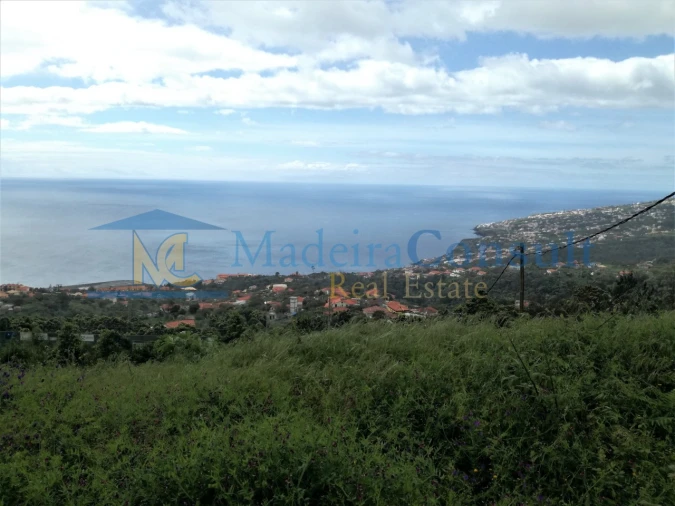 Moradia T3 para Venda em Santa Cruz Foto 4