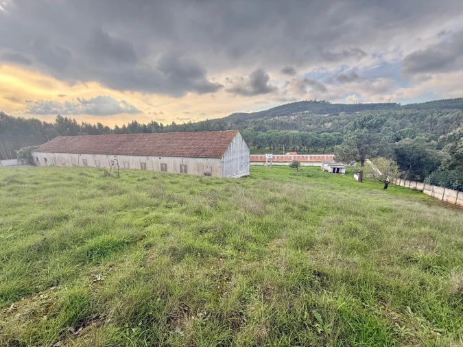 Moradia T3 para Venda em Alcobertas Foto 48