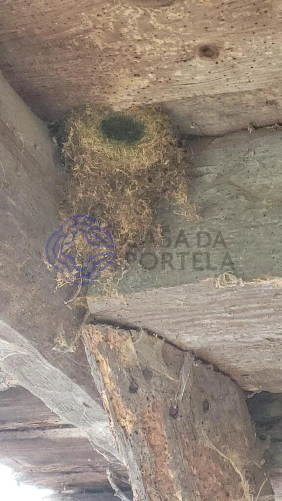 Moradia T3 para Venda em São Miguel do Mato Foto 22