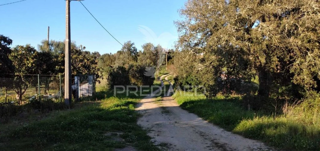 Quinta T2 para Venda em São Francisco da Serra Foto 3