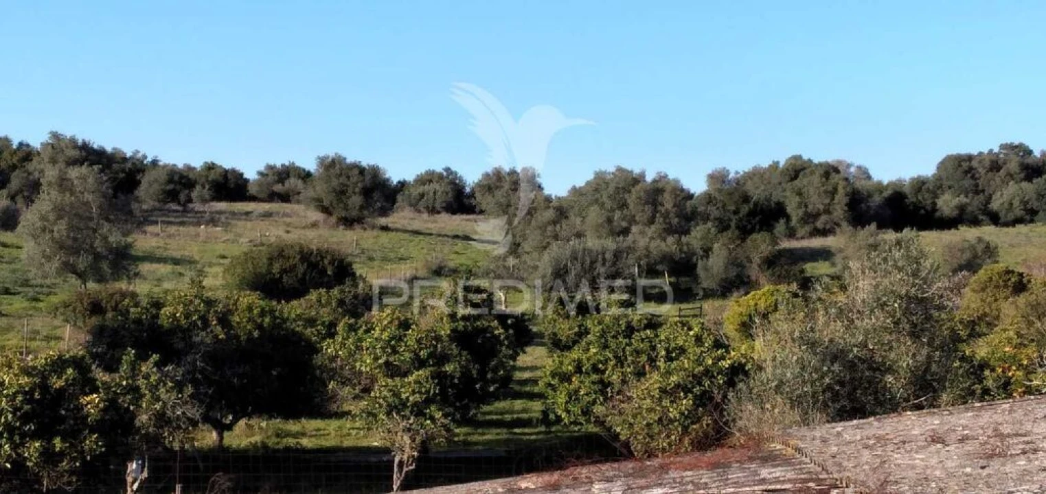 Quinta T2 para Venda em São Francisco da Serra Foto 17