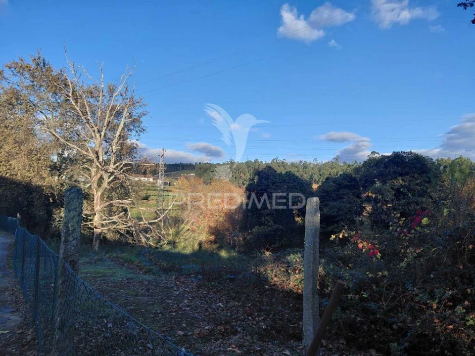 Terreno para Venda em Friande Foto 4