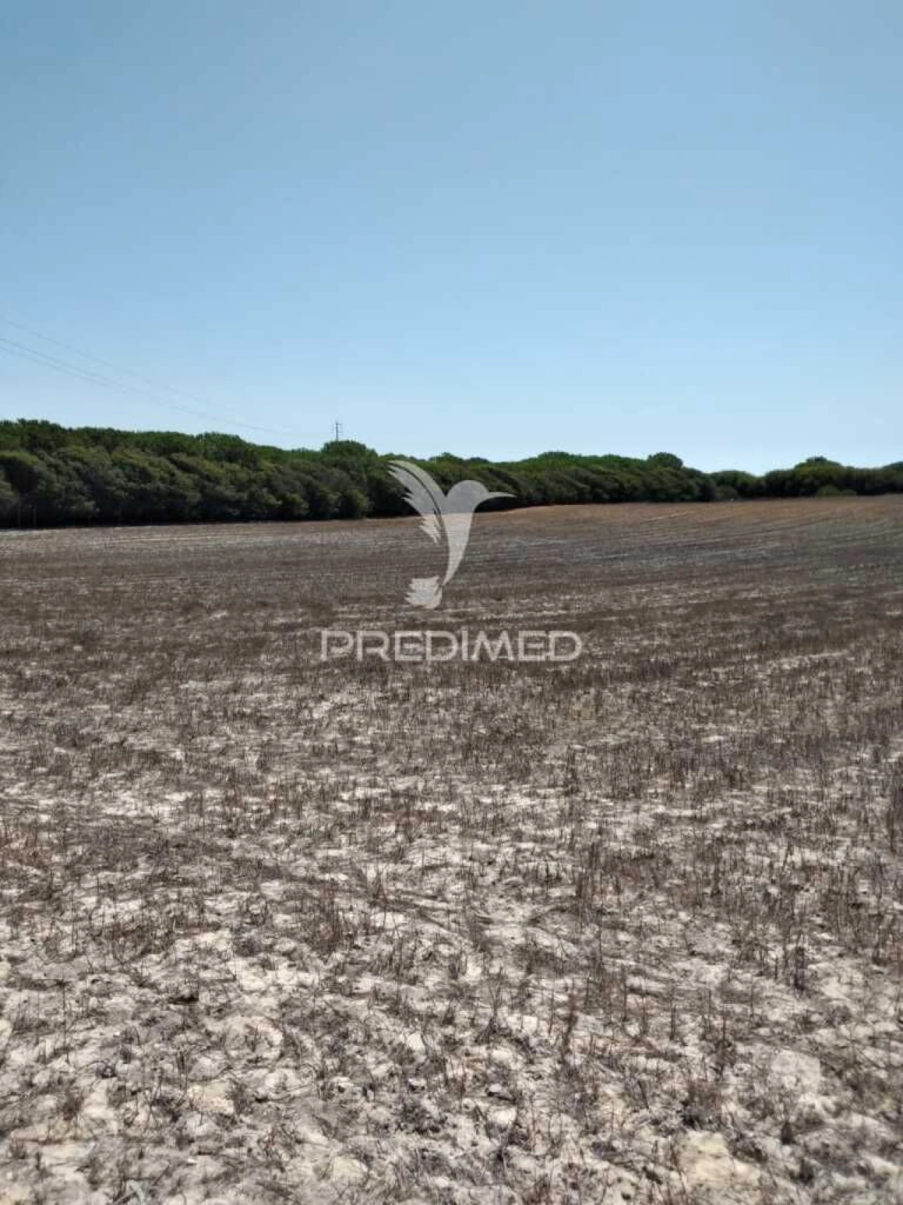 Terreno para Venda em Porto Covo Foto 8