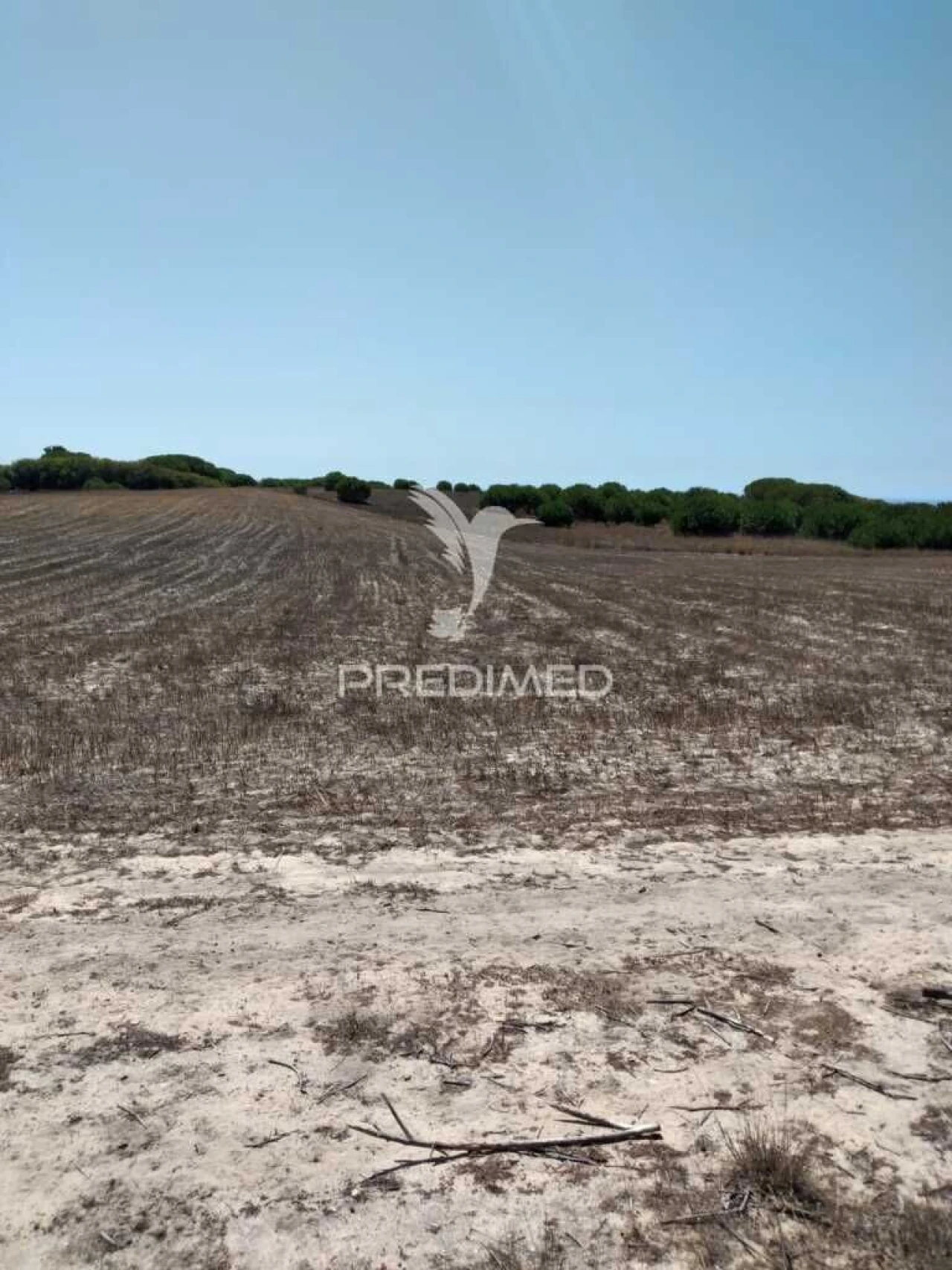 Terreno para Venda em Porto Covo Foto 7