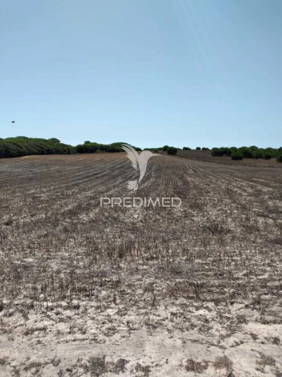 Terreno para Venda em Porto Covo Foto 9