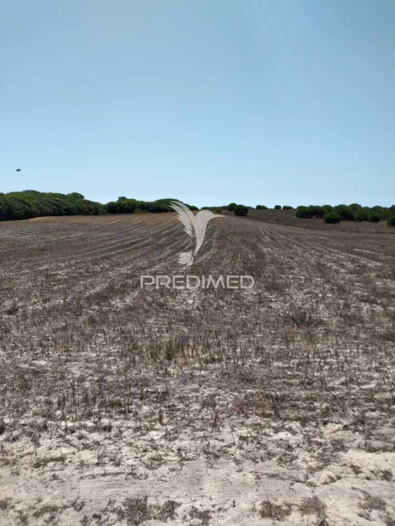 Terreno para Venda em Porto Covo Foto 9