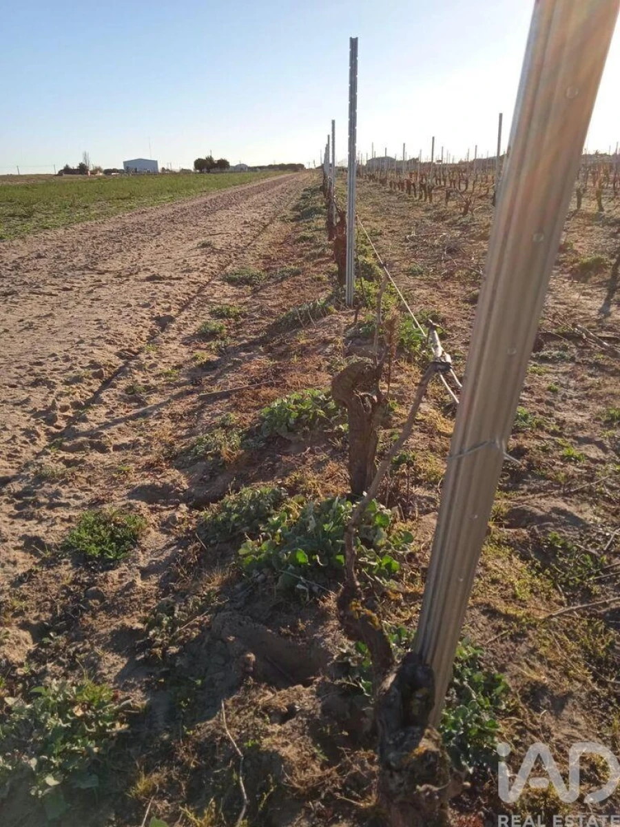 Terreno para Venda em Benfica do Ribatejo Foto 4