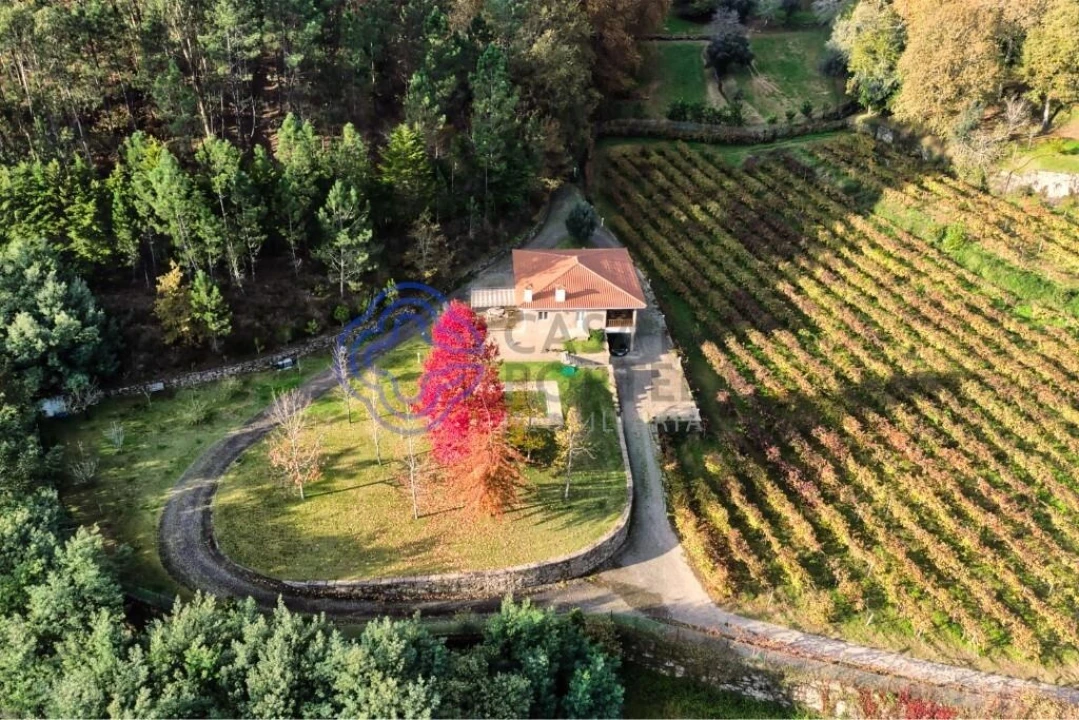 Quinta T3 para Venda em Bouro (Santa Maria) Foto 7