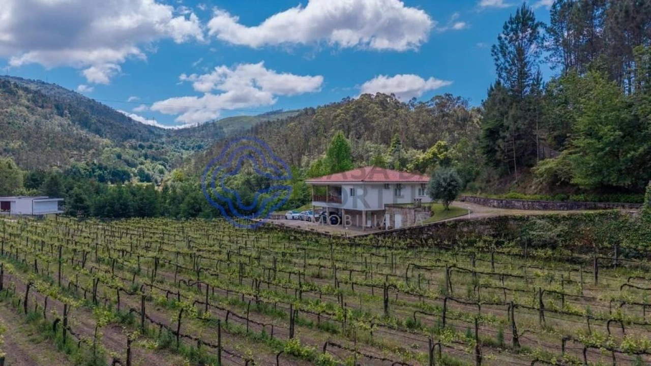 Quinta T3 para Venda em Bouro (Santa Maria) Foto 64