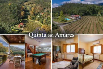 Quinta T3 para Venda em Bouro (Santa Maria)