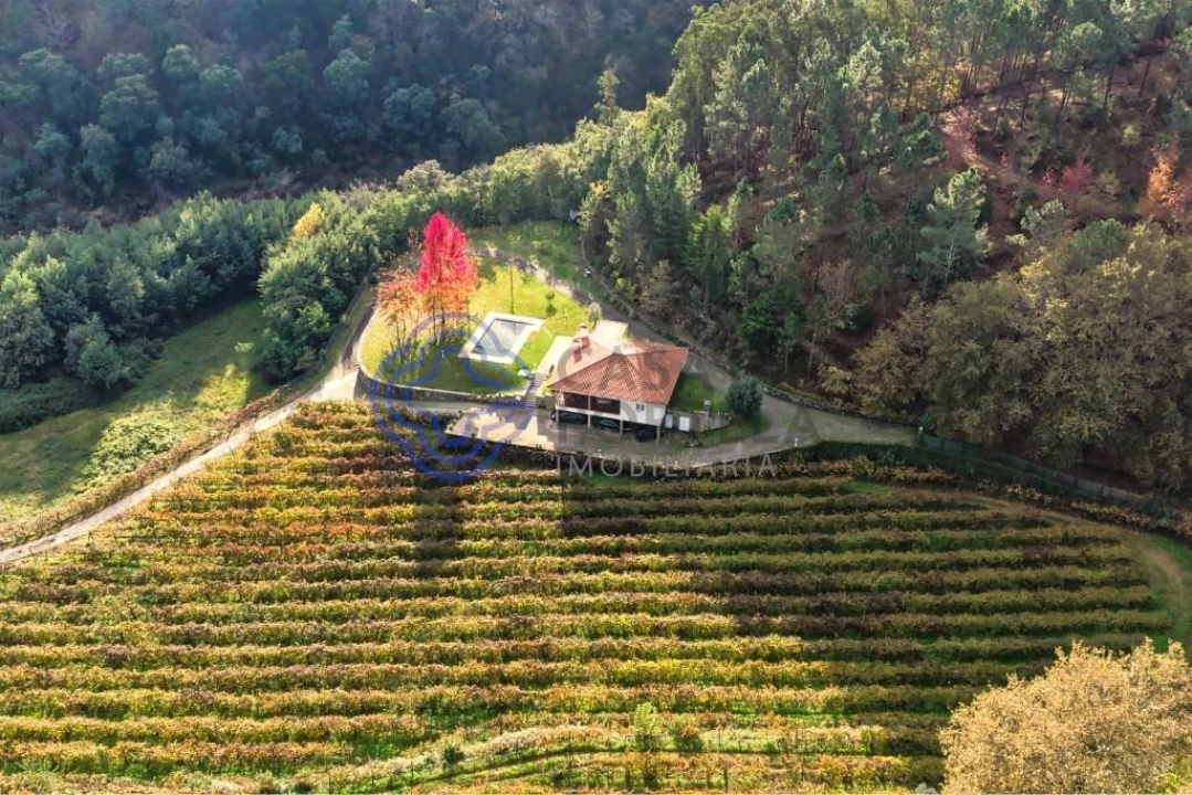 Quinta T3 para Venda em Bouro (Santa Maria) Foto 8