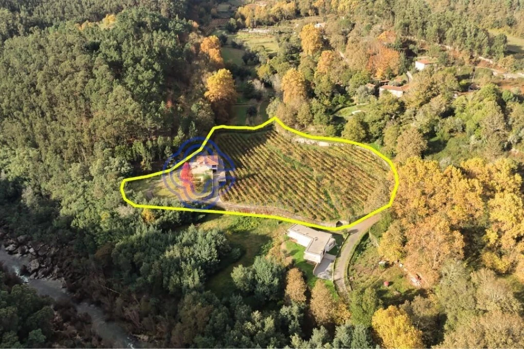 Quinta T3 para Venda em Bouro (Santa Maria) Foto 4