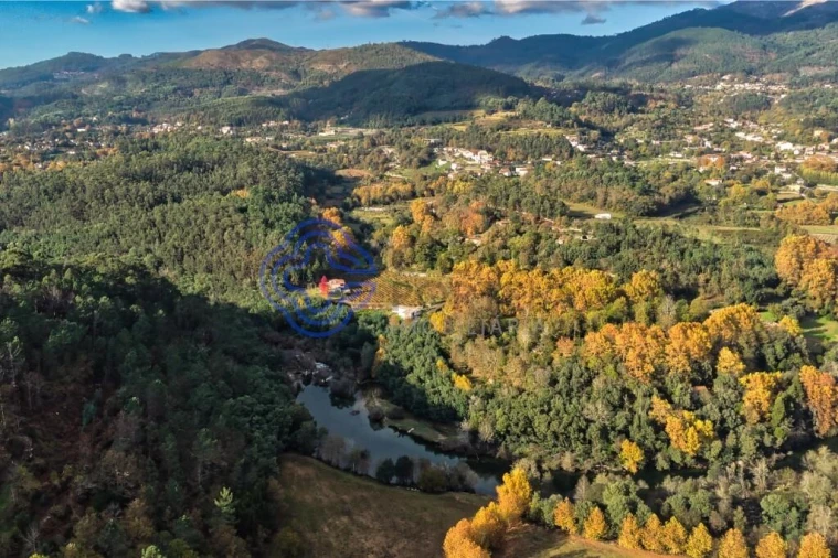 Quinta T3 para Venda em Bouro (Santa Maria) Foto 3