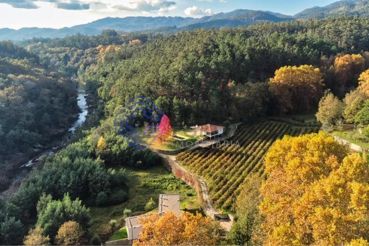 Quinta T3 para Venda em Bouro (Santa Maria) Foto 2