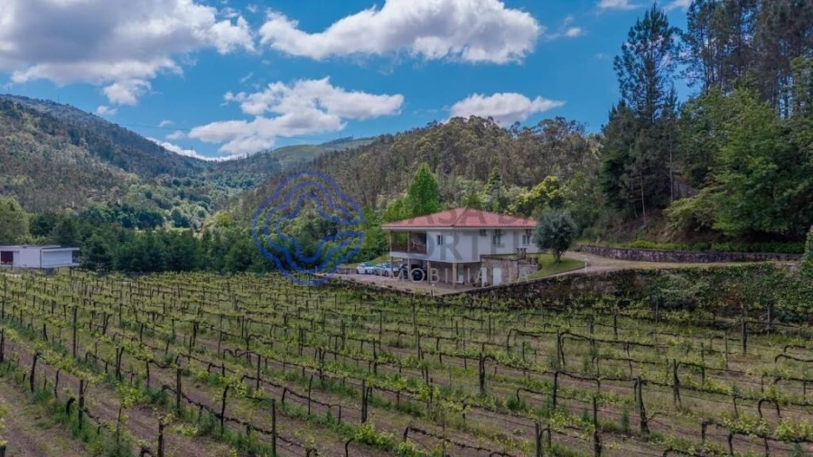 Quinta T3 para Venda em Bouro (Santa Maria) Foto 64