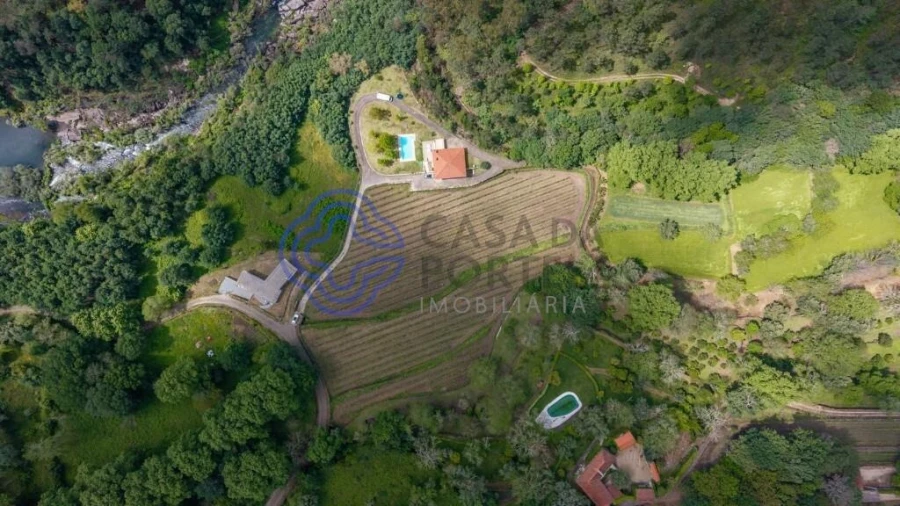 Quinta T3 para Venda em Bouro (Santa Maria) Foto 76