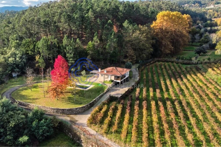 Quinta T3 para Venda em Bouro (Santa Maria) Foto 10